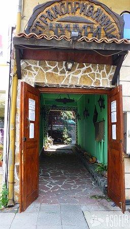 Chuchura Stranopriemnitsa